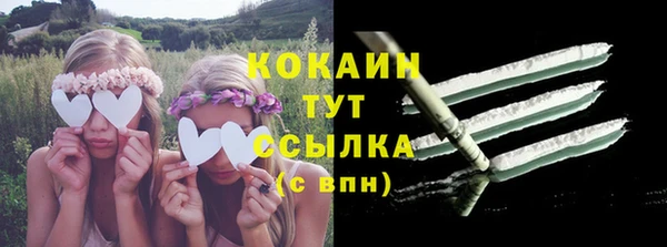 прущие грибы Михайловск
