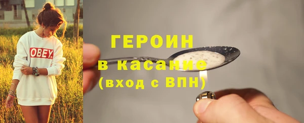 прущие грибы Михайловск