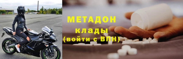 прущие грибы Михайловск