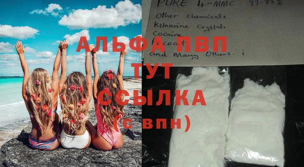 прущие грибы Михайловск