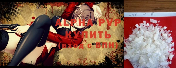 прущие грибы Михайловск