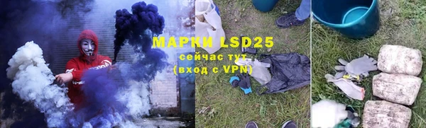 прущие грибы Михайловск