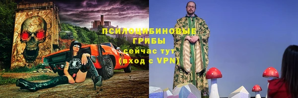 прущие грибы Михайловск