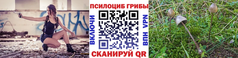 Купить закладки  Ярцево  Псилоцибиновые грибы ЛСД 